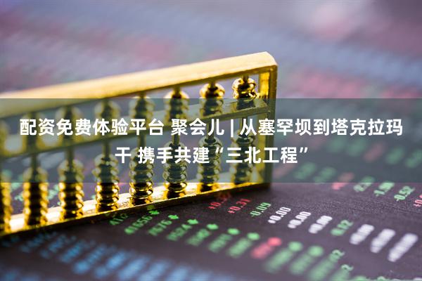 配资免费体验平台 聚会儿 | 从塞罕坝到塔克拉玛干 携手共建“三北工程”