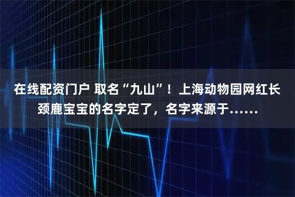在线配资门户 取名“九山”！上海动物园网红长颈鹿宝宝的名字定了，名字来源于……